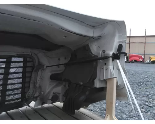 FREIGHTLINER CASCADIA 113 HOOD