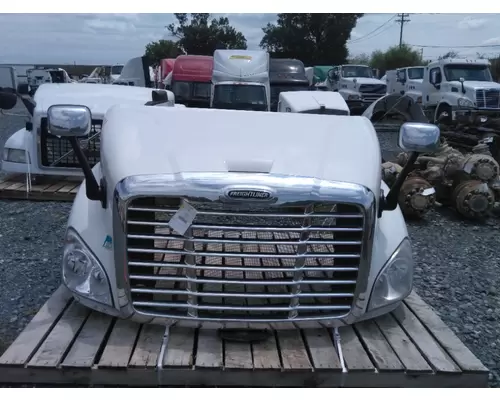 FREIGHTLINER CASCADIA 113 HOOD