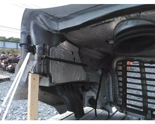 FREIGHTLINER CASCADIA 113 HOOD