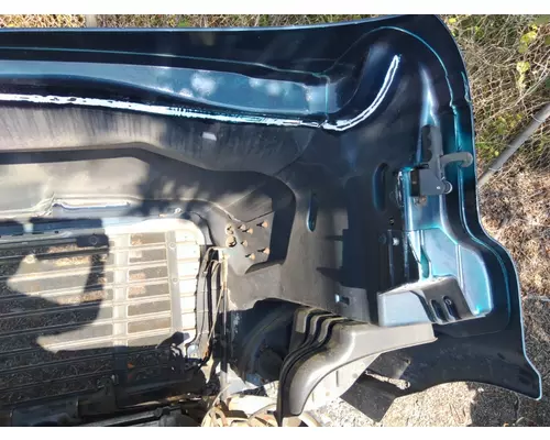 FREIGHTLINER CASCADIA 113 HOOD