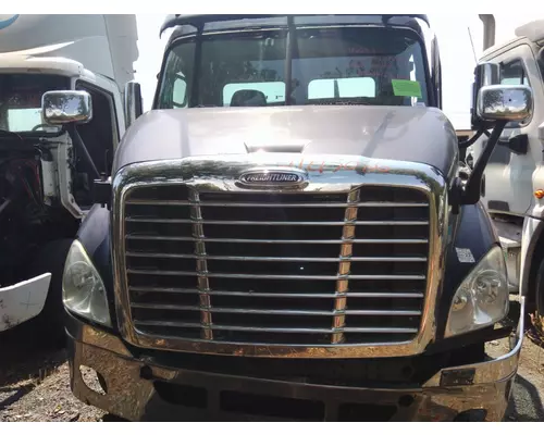 FREIGHTLINER CASCADIA 113 HOOD