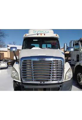 FREIGHTLINER CASCADIA 113 HOOD