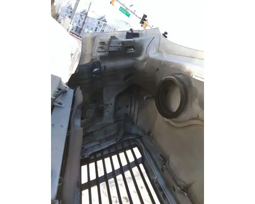 FREIGHTLINER CASCADIA 113 HOOD