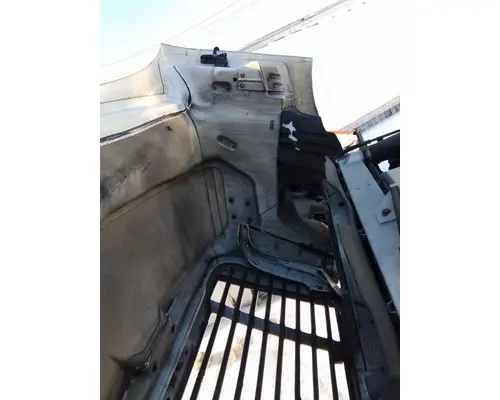 FREIGHTLINER CASCADIA 113 HOOD