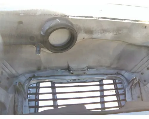 FREIGHTLINER CASCADIA 113 HOOD