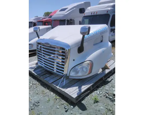 FREIGHTLINER CASCADIA 113 HOOD