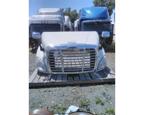 FREIGHTLINER CASCADIA 113 HOOD