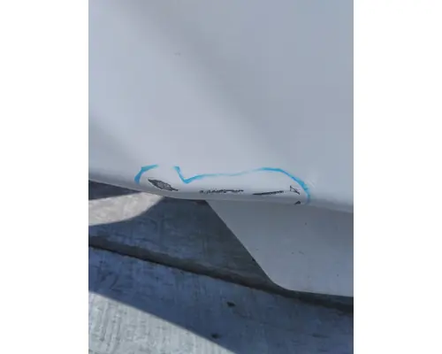 FREIGHTLINER CASCADIA 113 HOOD
