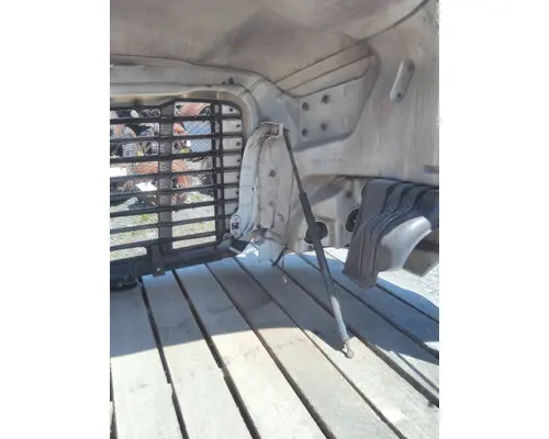 FREIGHTLINER CASCADIA 113 HOOD