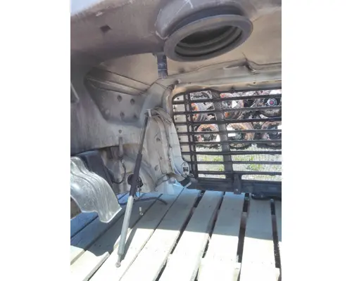FREIGHTLINER CASCADIA 113 HOOD