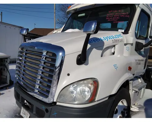 FREIGHTLINER CASCADIA 113 HOOD