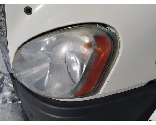 FREIGHTLINER CASCADIA 113 HOOD