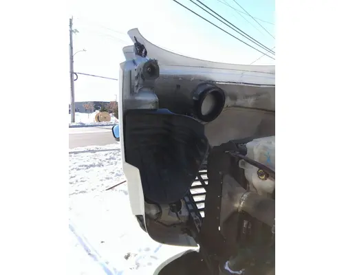 FREIGHTLINER CASCADIA 113 HOOD