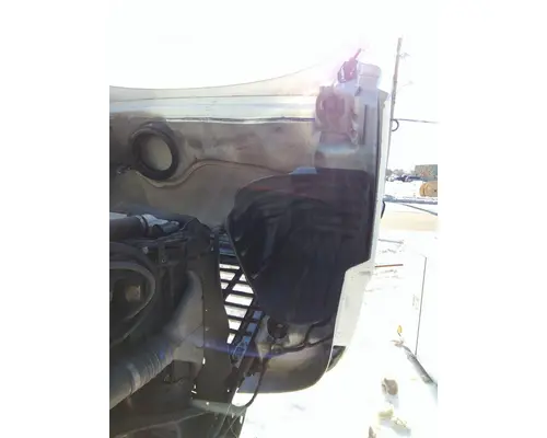 FREIGHTLINER CASCADIA 113 HOOD