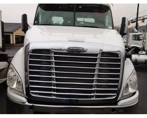 FREIGHTLINER CASCADIA 113 HOOD