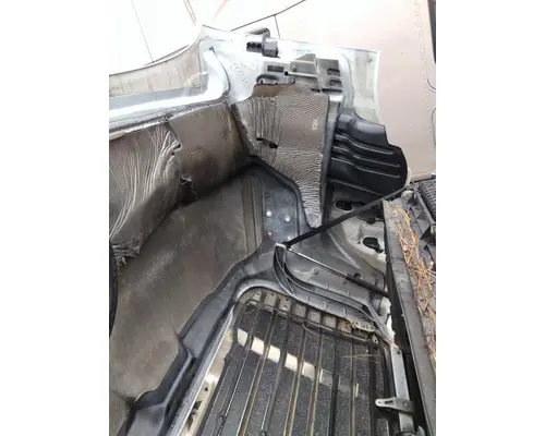 FREIGHTLINER CASCADIA 113 HOOD