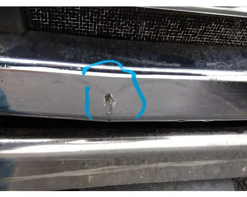 FREIGHTLINER CASCADIA 113 HOOD