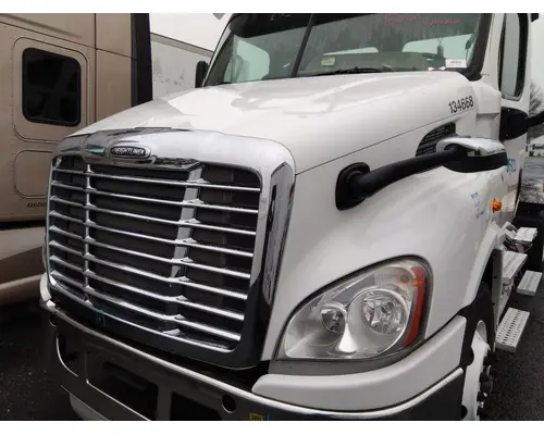 FREIGHTLINER CASCADIA 113 HOOD