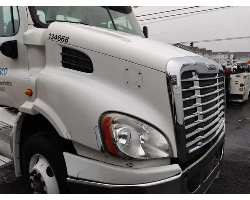 FREIGHTLINER CASCADIA 113 HOOD