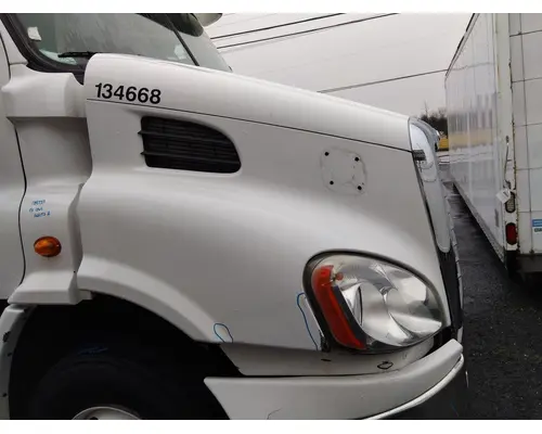 FREIGHTLINER CASCADIA 113 HOOD