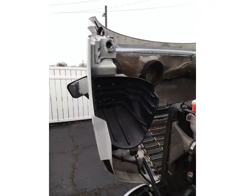 FREIGHTLINER CASCADIA 113 HOOD