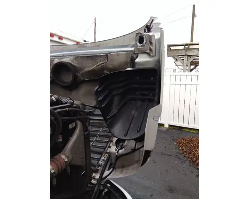 FREIGHTLINER CASCADIA 113 HOOD