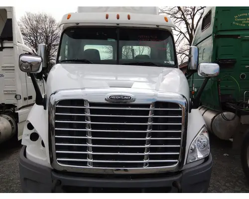 FREIGHTLINER CASCADIA 113 HOOD