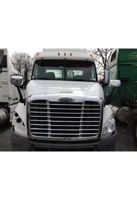 FREIGHTLINER CASCADIA 113 HOOD