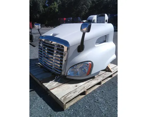 FREIGHTLINER CASCADIA 113 HOOD