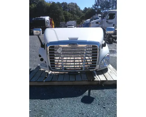 FREIGHTLINER CASCADIA 113 HOOD