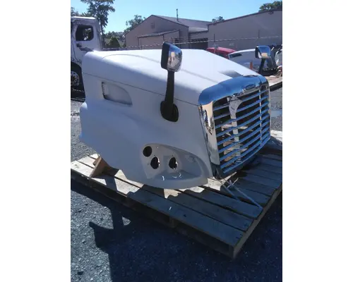 FREIGHTLINER CASCADIA 113 HOOD