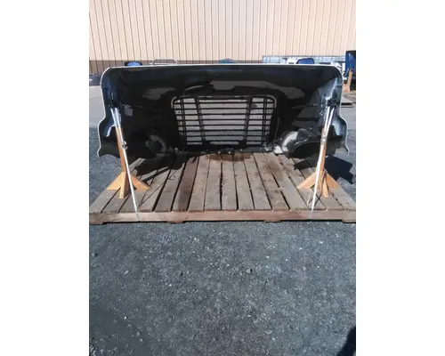 FREIGHTLINER CASCADIA 113 HOOD