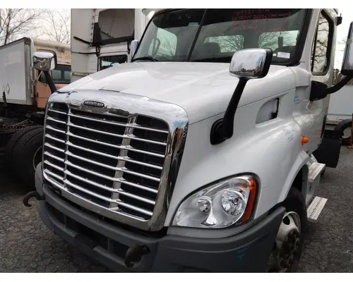 FREIGHTLINER CASCADIA 113 HOOD