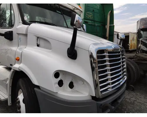 FREIGHTLINER CASCADIA 113 HOOD
