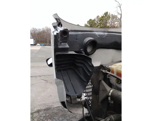 FREIGHTLINER CASCADIA 113 HOOD