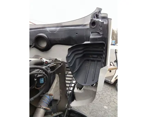 FREIGHTLINER CASCADIA 113 HOOD