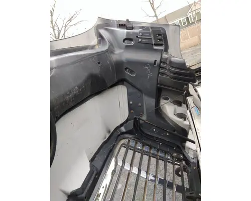 FREIGHTLINER CASCADIA 113 HOOD