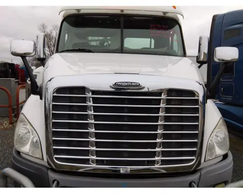 FREIGHTLINER CASCADIA 113 HOOD