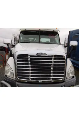 FREIGHTLINER CASCADIA 113 HOOD