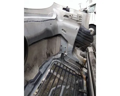 FREIGHTLINER CASCADIA 113 HOOD