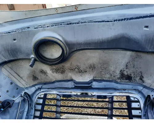 FREIGHTLINER CASCADIA 113 HOOD