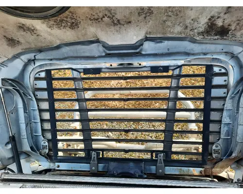 FREIGHTLINER CASCADIA 113 HOOD