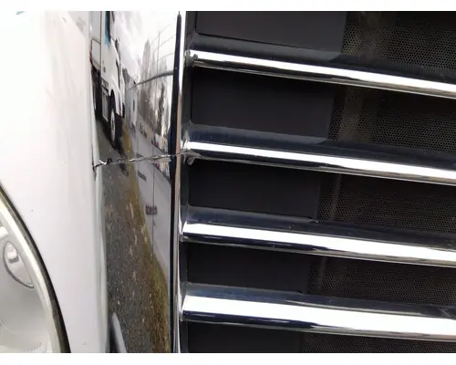 FREIGHTLINER CASCADIA 113 HOOD