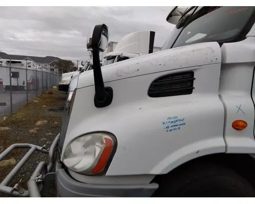FREIGHTLINER CASCADIA 113 HOOD