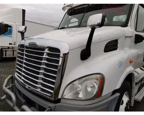 FREIGHTLINER CASCADIA 113 HOOD