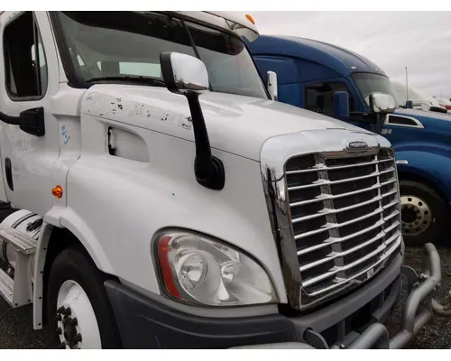 FREIGHTLINER CASCADIA 113 HOOD