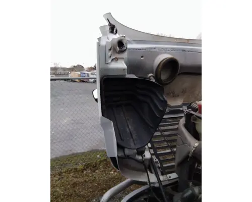 FREIGHTLINER CASCADIA 113 HOOD