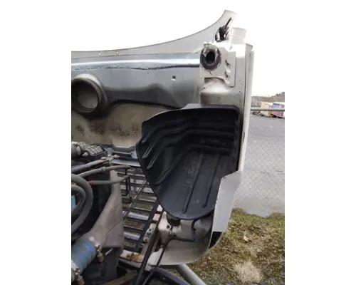 FREIGHTLINER CASCADIA 113 HOOD