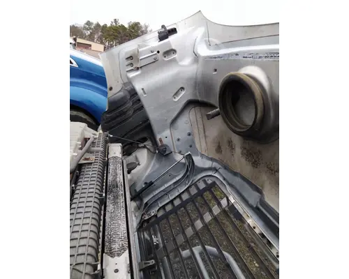 FREIGHTLINER CASCADIA 113 HOOD