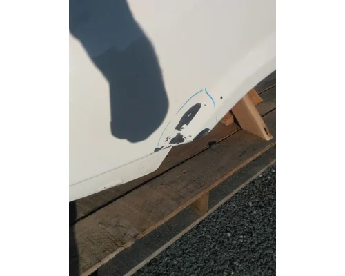 FREIGHTLINER CASCADIA 113 HOOD